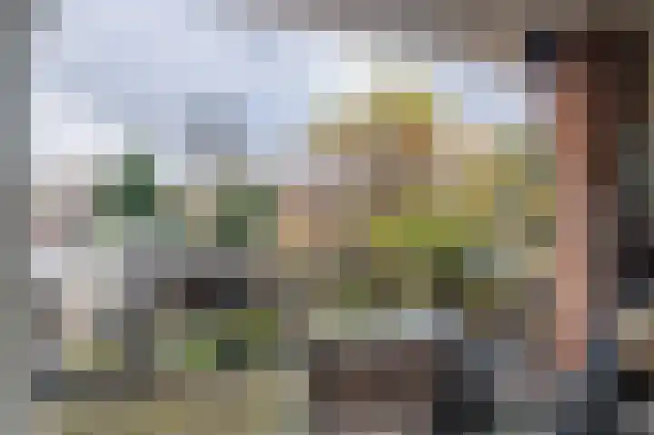 Fokkeschoot 8 Veenendaal thumbnail 21