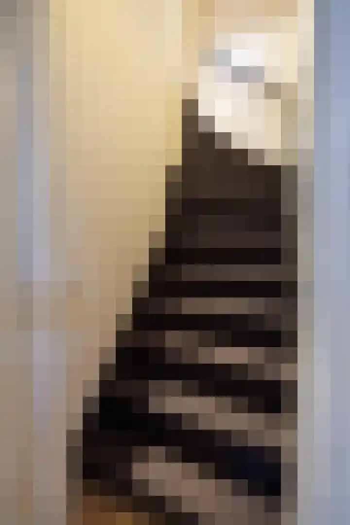 Fokkeschoot 8 Veenendaal thumbnail 30