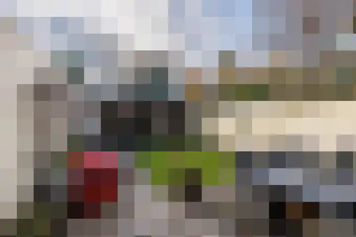 Fokkeschoot 8 Veenendaal thumbnail 37