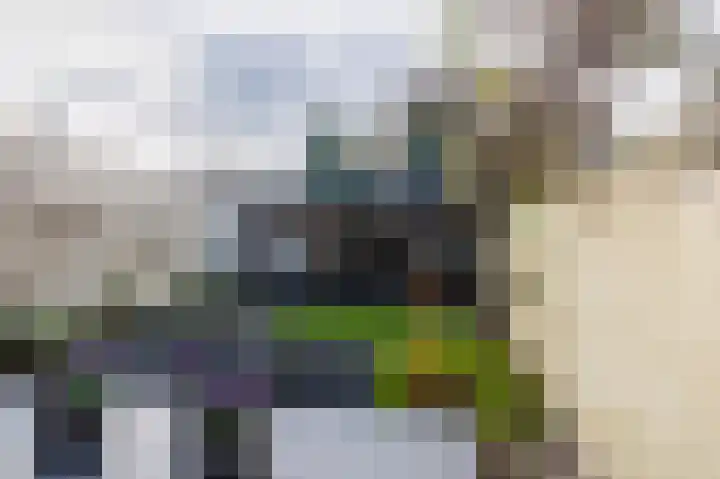 Fokkeschoot 8 Veenendaal thumbnail 38