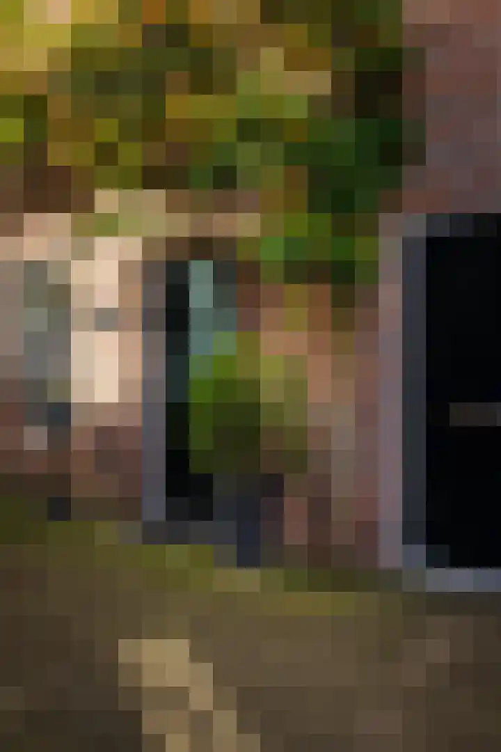 Fokkeschoot 8 Veenendaal thumbnail 4