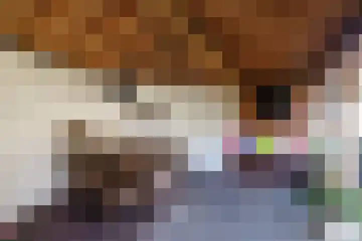Fokkeschoot 8 Veenendaal thumbnail 41
