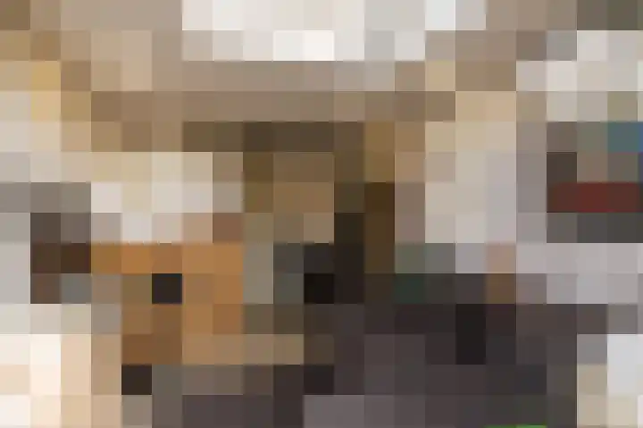 Fokkeschoot 8 Veenendaal thumbnail 44