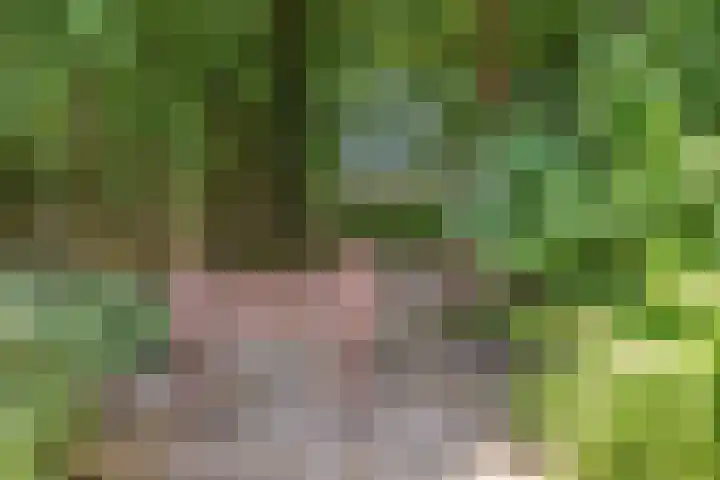 Fokkeschoot 8 Veenendaal thumbnail 48