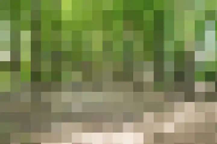 Fokkeschoot 8 Veenendaal thumbnail 49