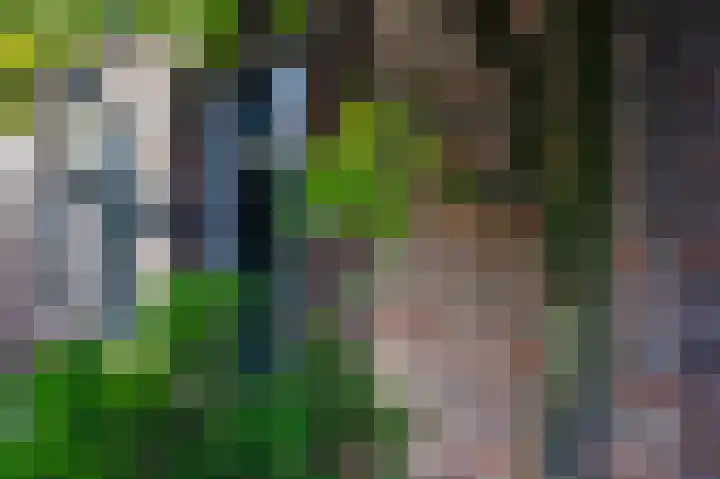 Fokkeschoot 8 Veenendaal thumbnail 5