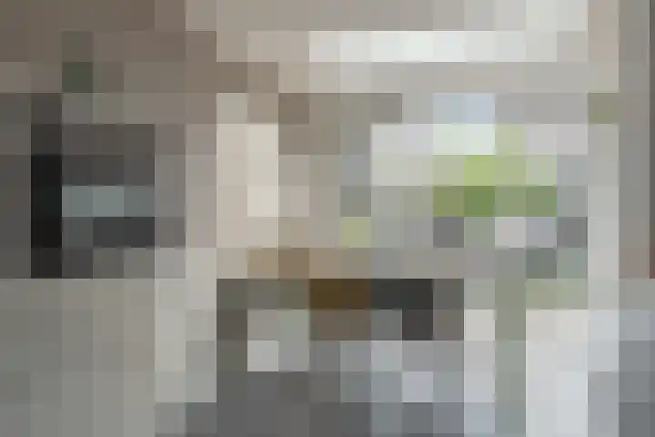Fokkestaach 14 Joure thumbnail 11