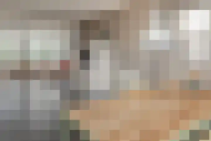 Fokkestaach 14 Joure thumbnail 12