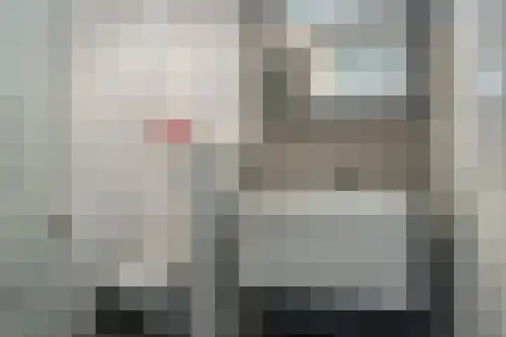 Fokkestaach 14 Joure thumbnail 23