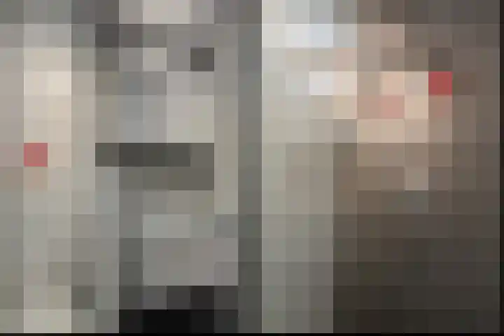 Fokkestaach 14 Joure thumbnail 24