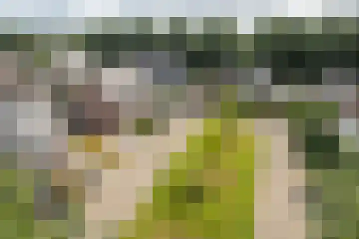 Fokkestaach 14 Joure thumbnail 30