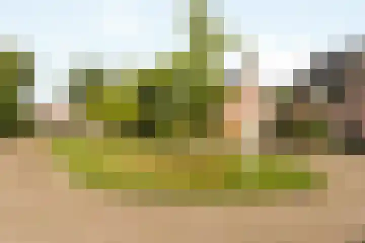 Fokkestaach 14 Joure thumbnail 31