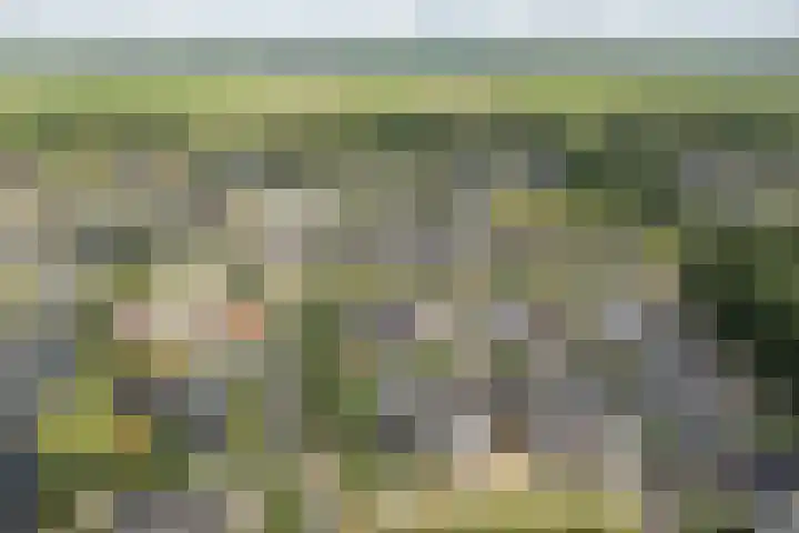Fokkestaach 14 Joure thumbnail 32