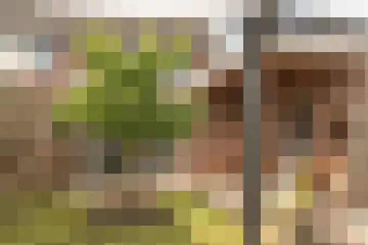 Fokkestaach 14 Joure thumbnail 33