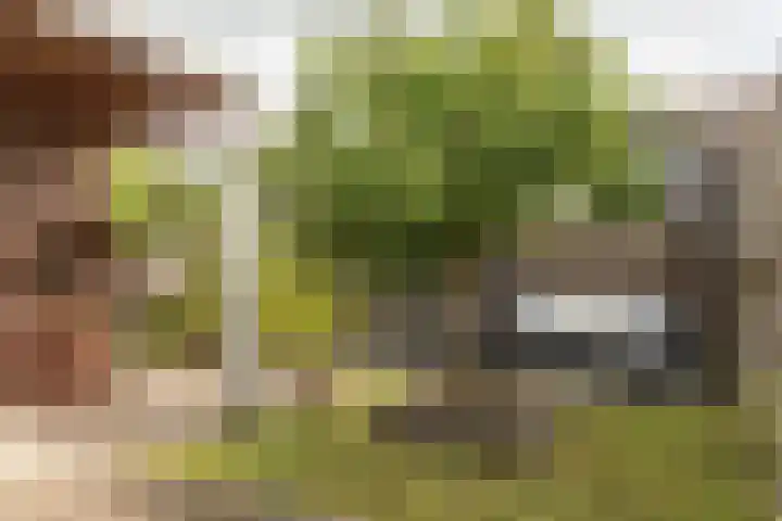 Fokkestaach 14 Joure thumbnail 34