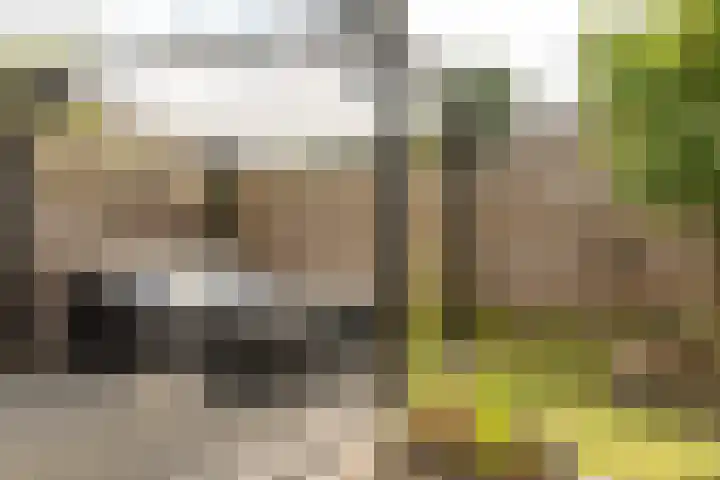 Fokkestaach 14 Joure thumbnail 35