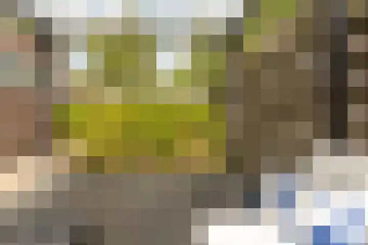 Fokkestaach 14 Joure thumbnail 36