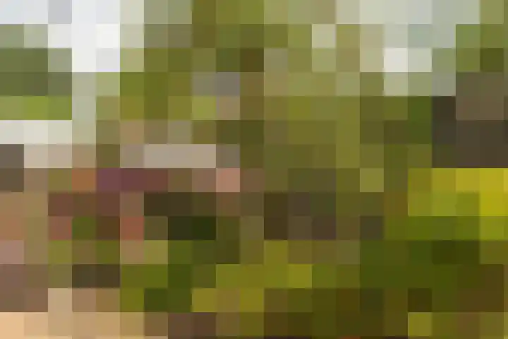 Fokkestaach 14 Joure thumbnail 37