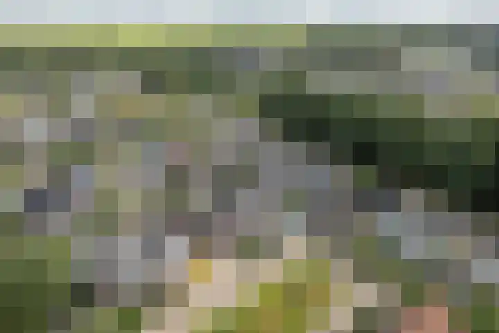 Fokkestaach 14 Joure thumbnail 38
