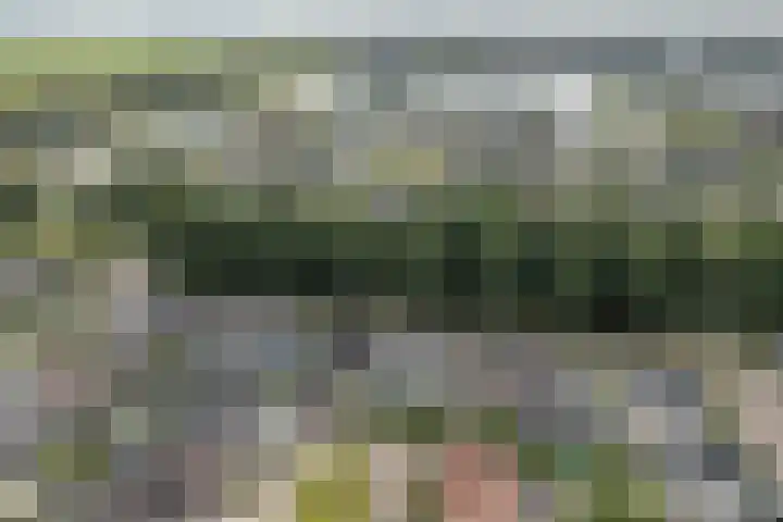 Fokkestaach 14 Joure thumbnail 39