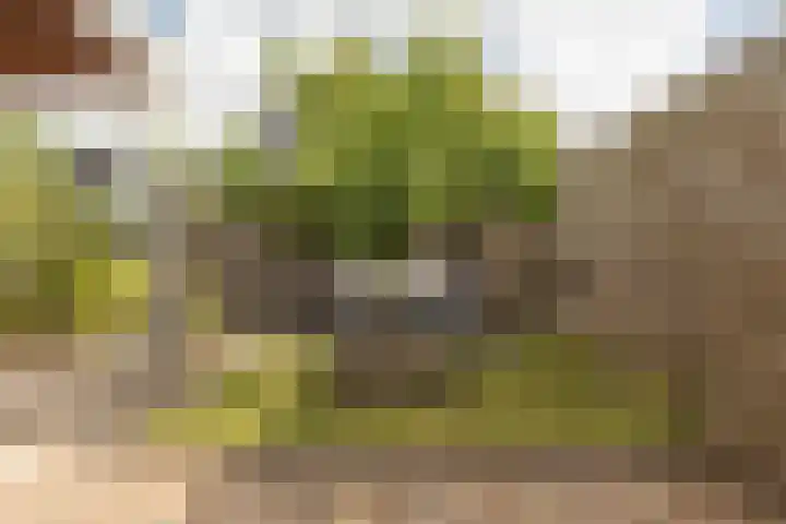 Fokkestaach 14 Joure thumbnail 6
