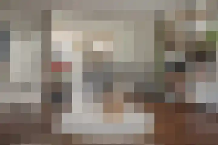Fokkestaach 14 Joure thumbnail 9