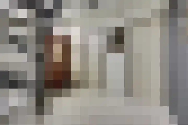 Fokkestraat 16 Dronten thumbnail 19