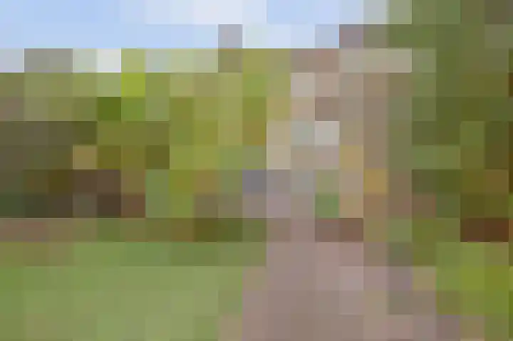 Fokkestraat 16 Dronten thumbnail 38