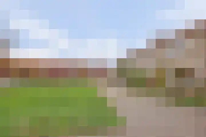 Fokkestraat 16 Dronten thumbnail 43