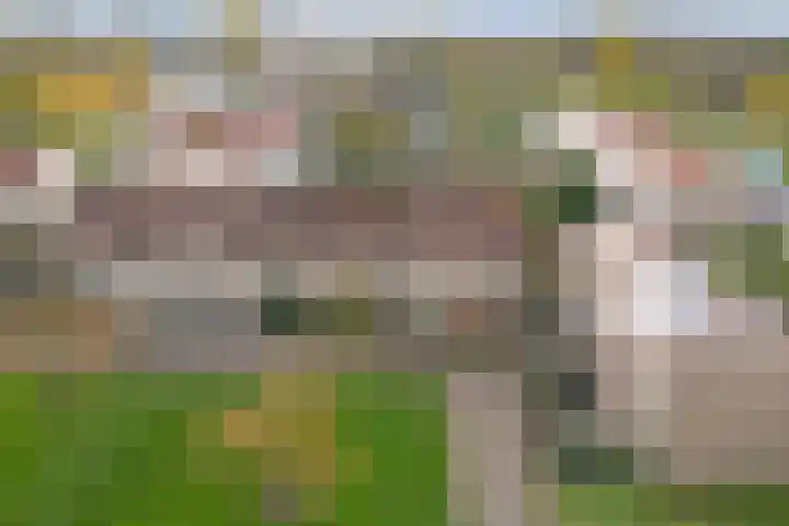 Fokkestraat 16 Dronten thumbnail 5