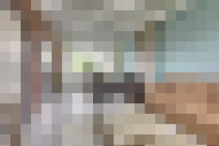 Fokkestraat 16 Dronten thumbnail 9