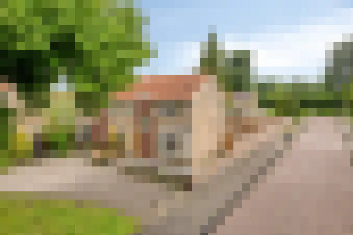 Fokkestraat 2 Dronten thumbnail 36