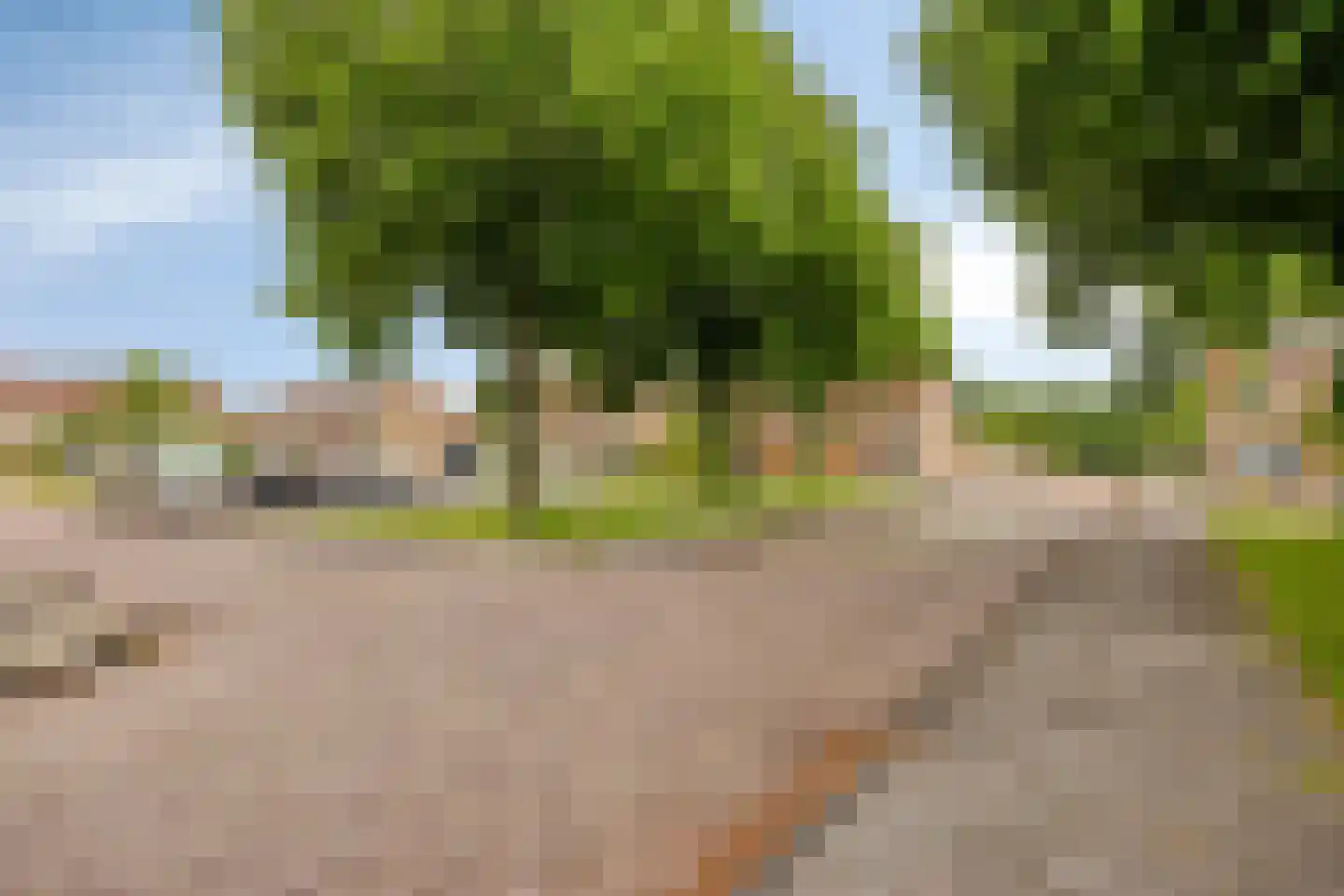 Fokkestraat 2 Dronten thumbnail 38