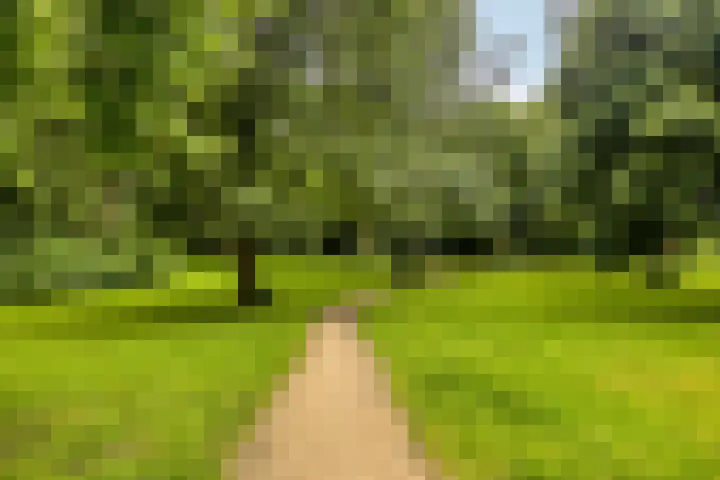 Fokkestraat 2 Dronten thumbnail 41