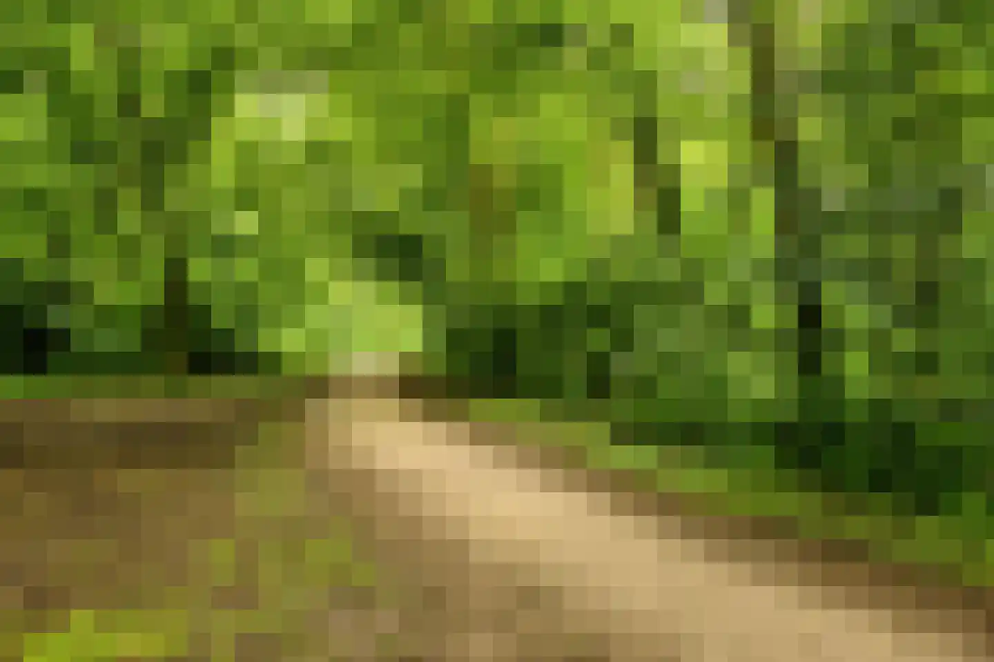 Fokkestraat 2 Dronten thumbnail 42