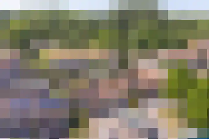 Fokkestraat 6 Dronten thumbnail 29