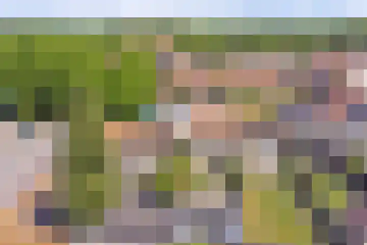 Fokkestraat 6 Dronten thumbnail 30