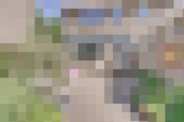 Fokkestraat 6 Dronten thumbnail 32