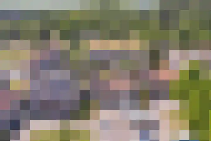 Fokkestraat 6 Dronten thumbnail 35
