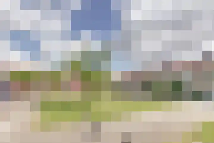 Fokkestraat 6 Dronten thumbnail 37