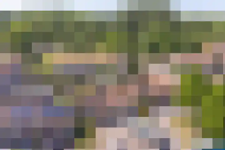 Fokkestraat 6 Dronten thumbnail 5