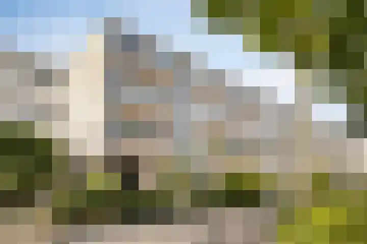 Fokkezeil 13 Amsterdam thumbnail 15