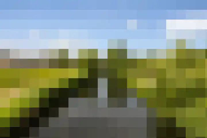 Fokkezeil 27 Amsterdam thumbnail 19