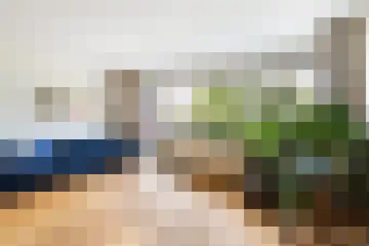 Fokkezeil 27 Amsterdam thumbnail 8