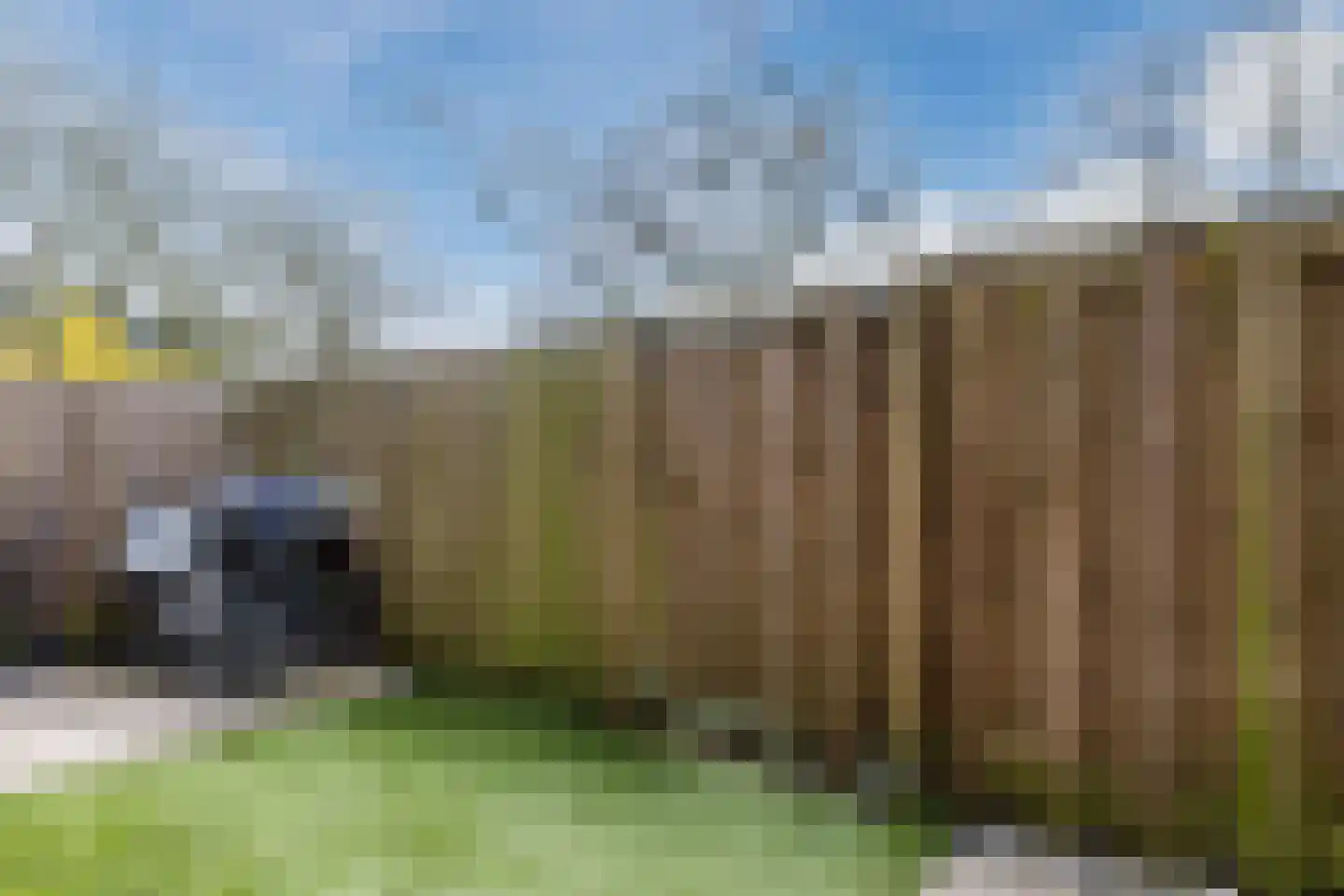 Fokkezeil 63 Amsterdam thumbnail 4