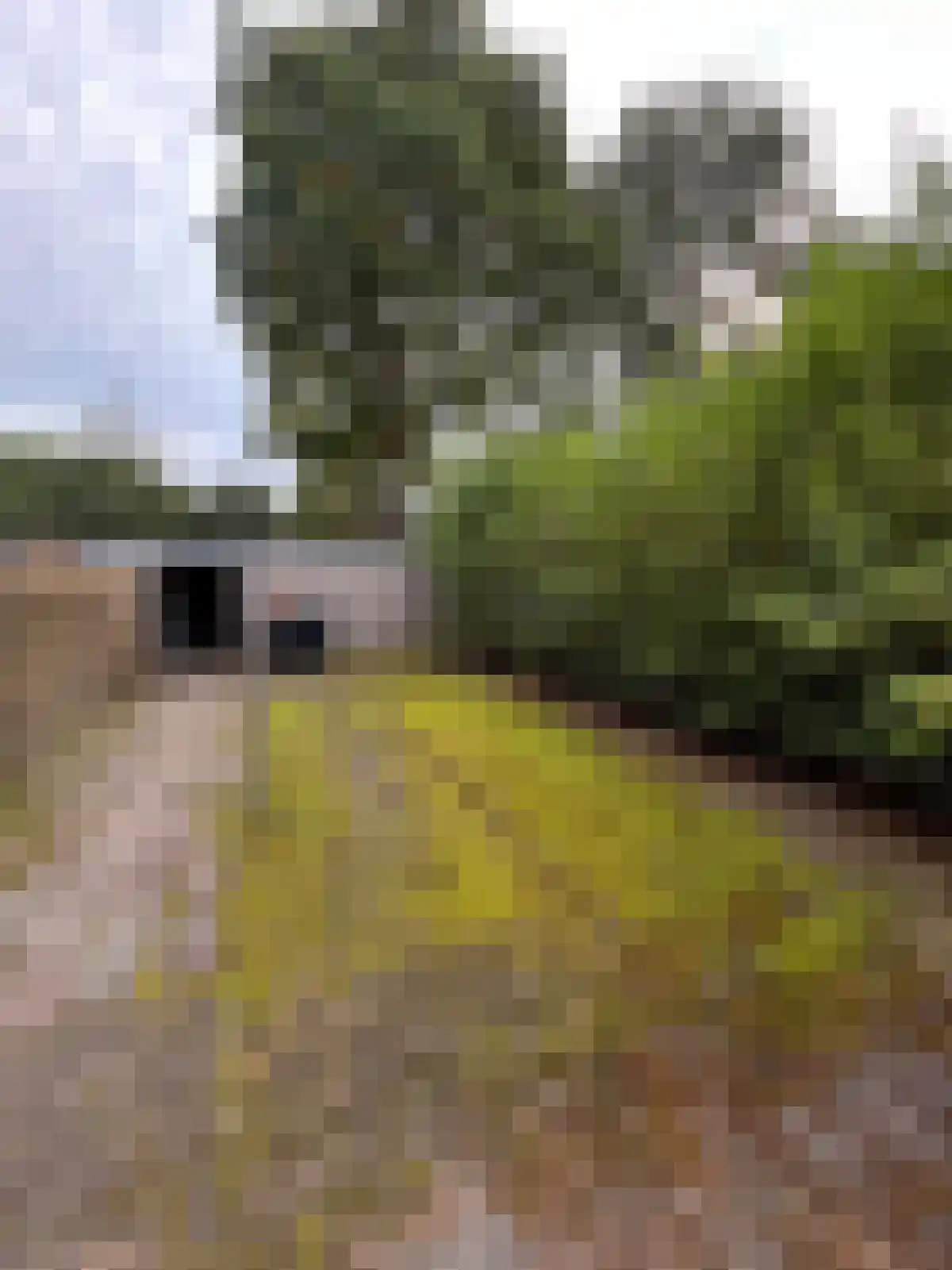 Fokkingeslag Emmen thumbnail 4