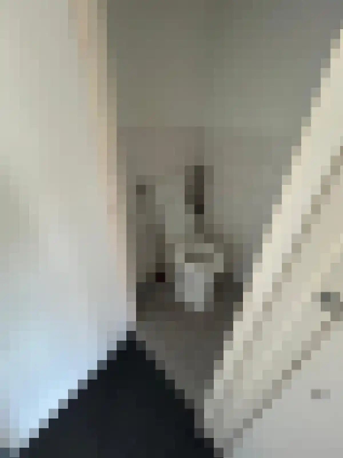 Fokkingeslag Emmen thumbnail 6