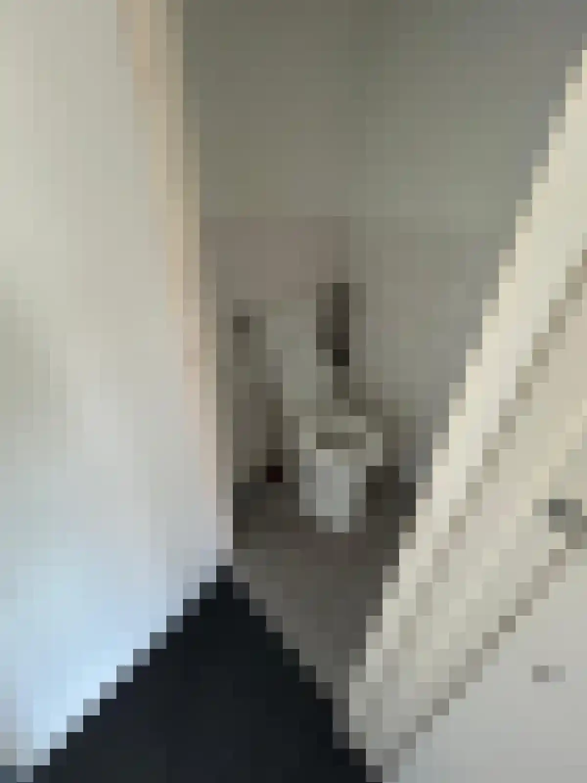 Fokkingeslag Emmen thumbnail 6
