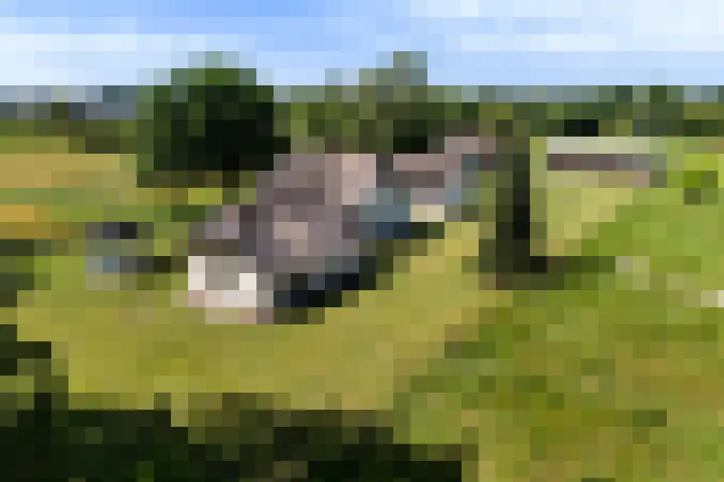 Fokko Kortlanglaan 121 Harderwijk foto 2