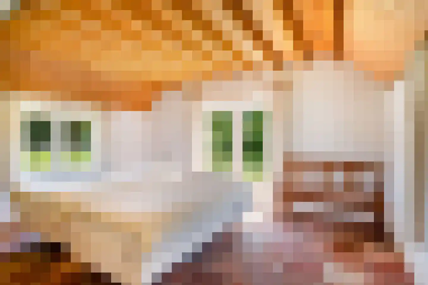 Fokko Kortlanglaan 121 Harderwijk thumbnail 25